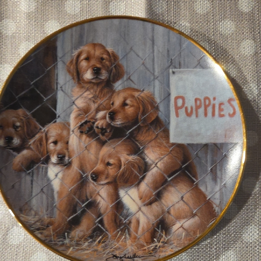 Franklin Mint ASPCA Adopt A Puppy Limited Edition Puppy Decorative Plate